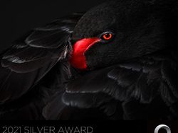 Foto Pemenang 360º Photo Awards 2021 Bikin Terpukau