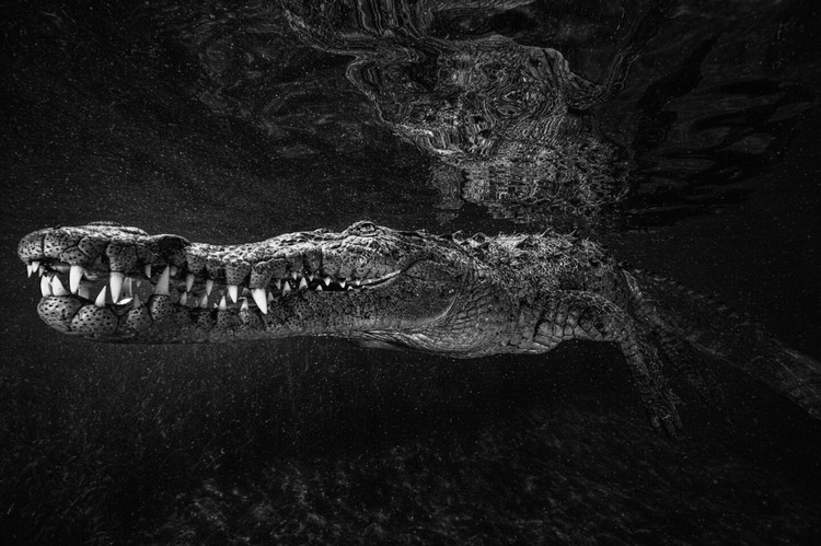 360º Photo Awards 2021