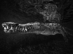 Foto Pemenang 360º Photo Awards 2021 Bikin Terpukau