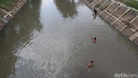 Di masa pandemi COVID-19 seperti saat ini, banyak warga menganggur dan beralih menjadi pencari cacing sutra.  
