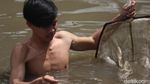 Berburu Cacing Sutra di Bandung