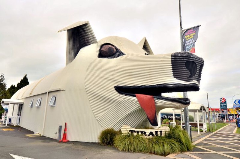fotoinet gedung unik anjing hingga naga
