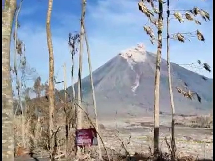 Gunung Semeru kembali menyemburkan awan panas pagi ini.