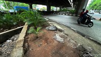Kondisi pot tanaman hias yang tepat berada di bawah kolong jembatan, Semper, Tanjung Priok, Jakarta Utara, tampak rusak, Jumat (10/12/2021).  
