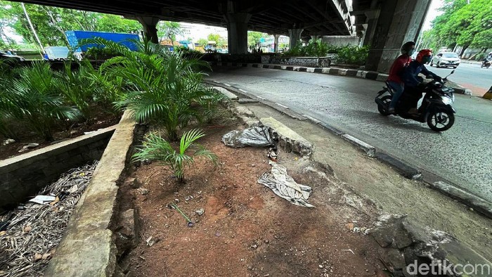 Prihatin! Pot Tanaman Hias di Kawasan Tanjung Priok Kini Tak Terawat Kondisi pot tanaman hias yang tepat berada di bawah kolong jembatan, Sempet, Tanjung Priok, Jakarta Utara, tampak rusak.