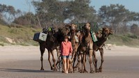 Wanita berusia 33 tahun, Sophie Matterson berhasil menyelesaikan perjalanan 5.000 km dari titik paling barat Australia di Shark Bay, ke titik paling timur di Byron Bay, bersama lima untanya. Getty Images/Brook Mitchell 