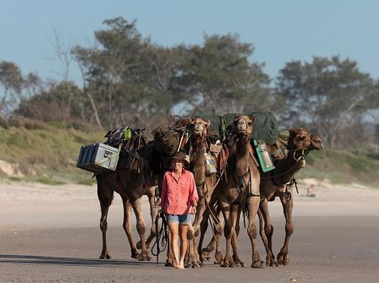 Tak Biasa, Wanita Ini Keliling Australia Bareng 5 Unta
