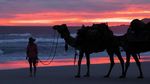 Tak Biasa, Wanita Ini Keliling Australia Bareng 5 Unta