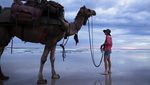 Tak Biasa, Wanita Ini Keliling Australia Bareng 5 Unta