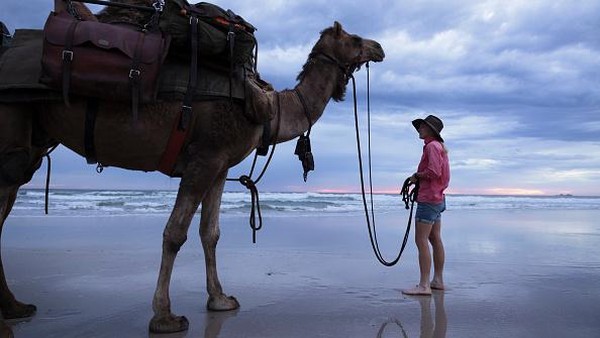 Sophie Matterson dan unta-untanya tiba di pantai Byron Bay, Australia, Jumat (10/12/2021). Getty Images/Brook Mitchell 