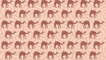 Cari unta yang berbeda dari yang lain. Foto: Brightside