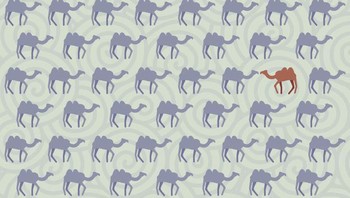 Ini dia jawabannya. Foto: Brightside