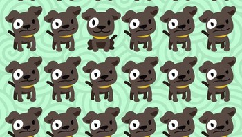 Cari anjing yang paling berbeda. Foto: Brightside