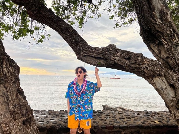 V BTS di Hawaii