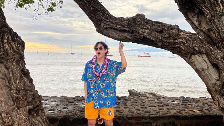 V BTS di Hawaii