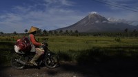 Para warga membawa barang-barang mereka menggunakan sepeda motor. Semeru dengan punca Mahameru menjadi rute favorit para pendaki gunung dan pecinta alam. (Zabur Karuru/AntaraFoto)