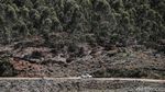 Aksi Para Pebalap di Danau Toba Rally 2021
