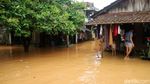 Sungai Meluap, Puluhan Rumah di Tegalsambi Jepara Kebanjiran