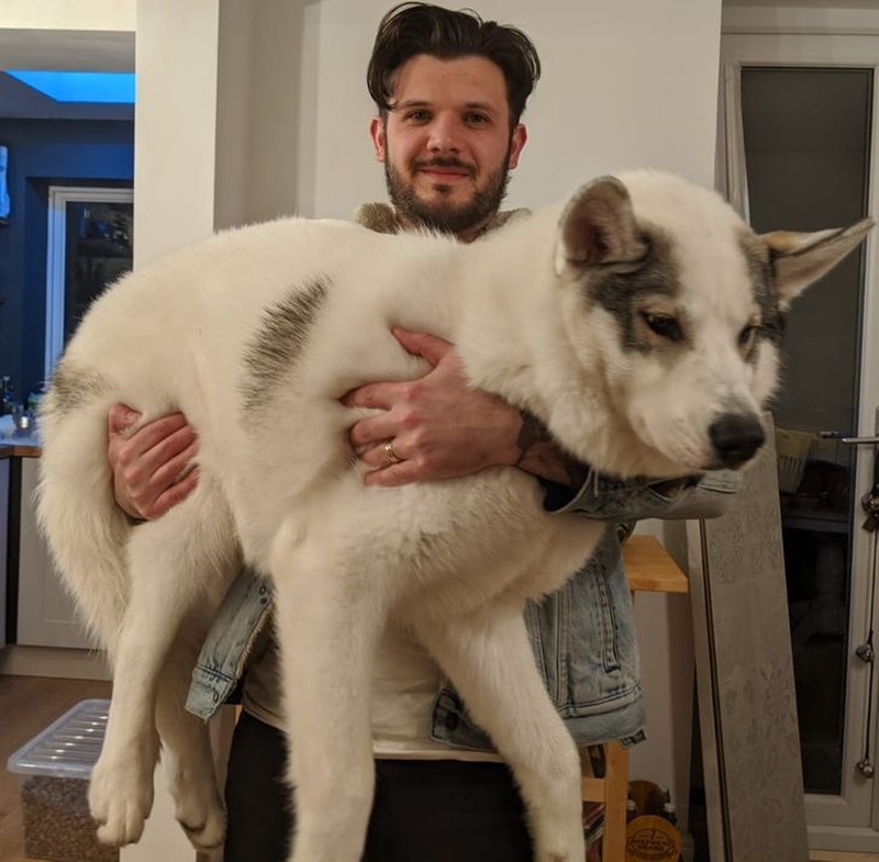 fotoinet penampakan hewan berukuran tak normal