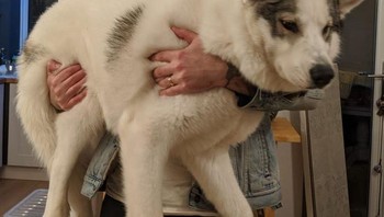 Makannya berapa kali sehari nih ya. Foto: Brightside