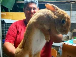 Penampakan Hewan Hingga Sayuran Berukuran Abnormal