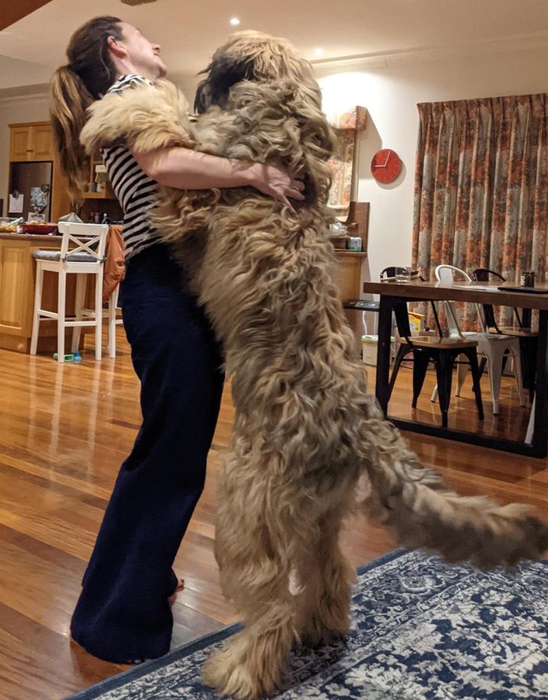 fotoinet penampakan hewan berukuran tak normal