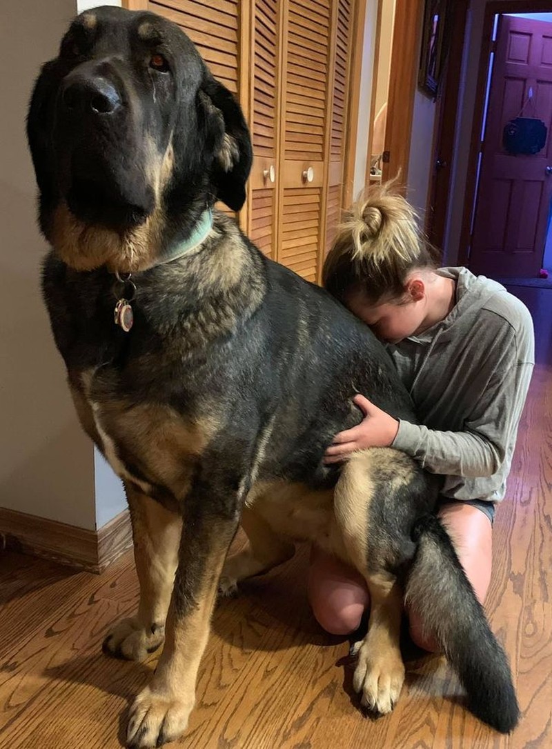 fotoinet penampakan hewan berukuran tak normal