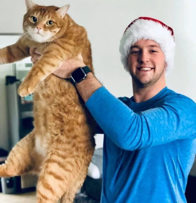 fotoinet penampakan hewan berukuran tak normal