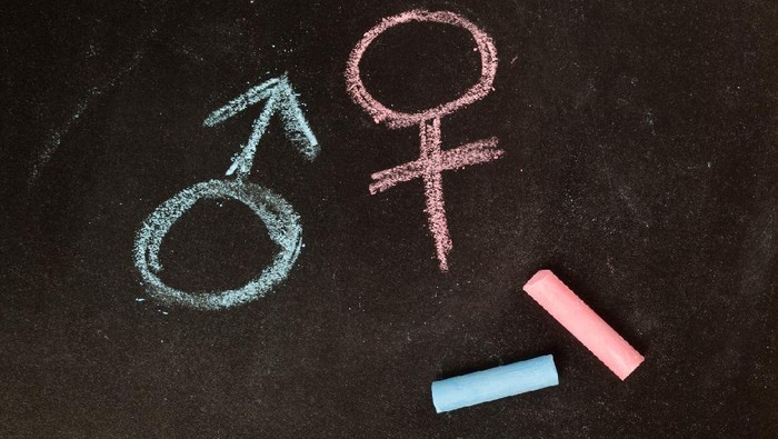 ilustrasi seks Male and female symbols drawn using chalk on a chalkboard