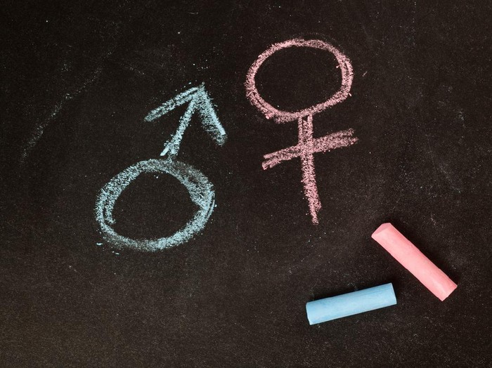 Male and female symbols drawn using chalk on a chalkboard
