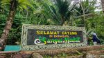 Potret Ekowisata Sungai Mudal, Segarnya Main Air di Pelosok Kulon Progo