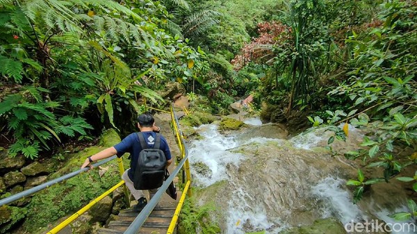 Kolam di sini masih alami karena berasal dari Tuk Mudal atau sumber mata air di Jatimulyo. Menurut pengelola, mata air tersebut sudah ada sedari dulu dan hingga kini pun belum pernah kering. (Jalu Rahman Dewantara/detikcom) Kolam di sini masih alami karena berasal dari Tuk Mudal atau sumber mata air di Jatimulyo. Menurut pengelola, mata air tersebut sudah ada sedari dulu dan hingga kini pun belum pernah kering. (Jalu Rahman Dewantara/detikcom)
