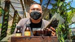 Kampung di Kulon Progo yang Miliki Tambang Emas Hijau