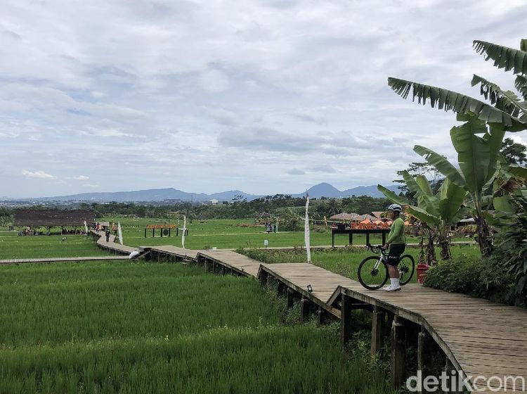 Mager dan Leyeh-leyeh di Hamparan Sawah Mulyaharja Bogor
