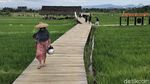 Mager dan Leyeh-leyeh di Hamparan Sawah Mulyaharja Bogor