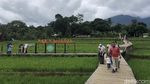 Mager dan Leyeh-leyeh di Hamparan Sawah Mulyaharja Bogor