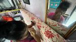 Kisah Penjual Jamu Jakarta, Menggendong Asa di Ibu Kota