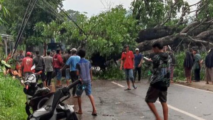 Pohon tumbang di cikalong wetan Bandung Barat