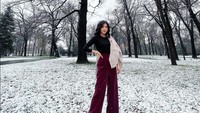 Sarwendah berpose di sebuah taman yang dipenuhi salju. Foto: Instagram/@sarwendah29