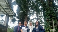 Suasana sekitar Resort Prima Cipayung Megamendung sangat adem dan asri.