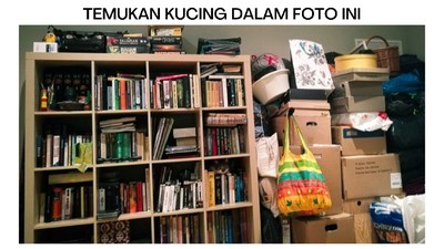 Tes Kejelian Mata, Temukan Hewan yang sedang Bersembunyi dalam Foto-Foto Berikut