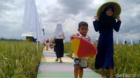 Karena sudah terlanjur viral di sosial media, lokasi wisata baru ini akhirnya banyak dikunjungi warga dari berbagai kota. Foto: Robby Bernardi/detikcom