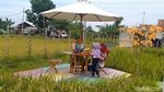 Viral Sawah di Pemalang, Diserbu Warga untuk Foto-foto