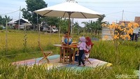 Pemandangan hamparan sawah dengan jalan papan kayu warna-warni ditengahnya, menjadi daya tarik warga untuk melepas penat untuk bersantai. Foto: Robby Bernardi/detikcom