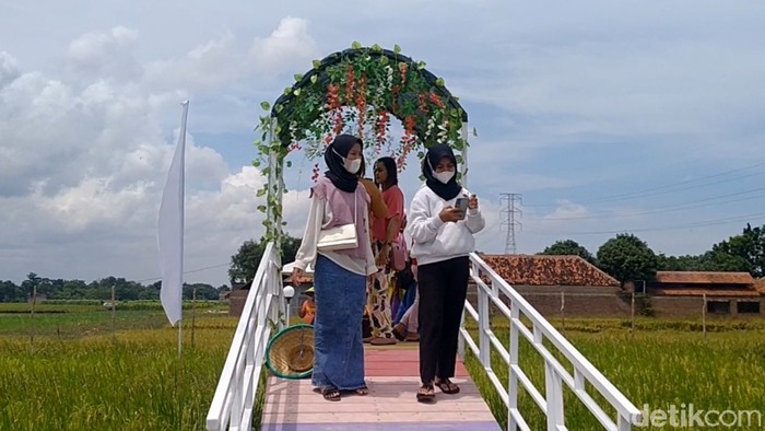 Asyiknya Nongkrong di Pematang Sawah yang Instagramable di Pemalang