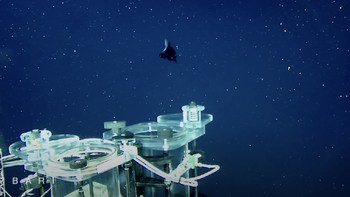 Penampakan sang ikan lalu lalang di dekat wahana bawah laut yang merekam kehadirannya. Foto: Mbari