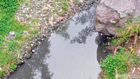 Bau tak sedap di Kali Gandul itu juga dirasakan warga di sepanjang aliran sungai. Mulai dari Desa Pusporenggo, Kecamatan Musuk, sampai Kelurahan Kemiri, Kecamatan Mojosongo. Kondisi ini juga sudah dilaporkan ke Dinas Lingkungan Hidup (DLH) Boyolali.