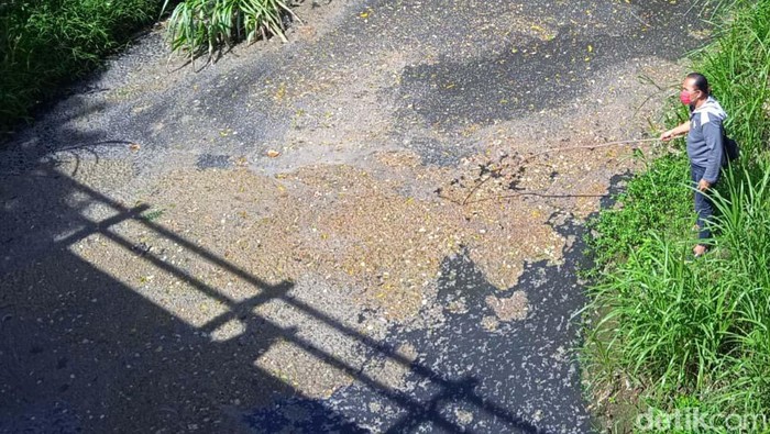 Begini Aliran Air Kali Gandul Boyolali yang Berbau Busuk Bau busuk tercium dari aliran Kali Gandul di Boyolali, Jawa Tengah. Kondisi itu dikeluhkan dan sempat membuat warga di sekitar aliran sungai muntah.