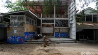 Tetapi setelah pemerintah me-lockdown nasional sejak Maret 2020 dan menutup perbatasan untuk turis asing, restoran dan hotel-hotel kolaps.