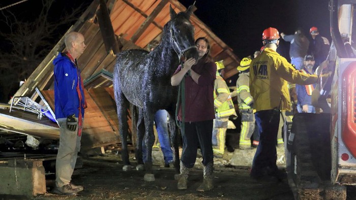 Hewan-hewan Ini Diselamatkan dari Reruntuhan Tornado Kentucky Chelsea Emmons holds on to a cat, Marinda, that belongs to her mother, Kim Goforth, Saturday, Dec. 11, 2021, in Bremen, Ky, while searching Goforth's home that was destroyed by a tornado late Friday evening. Emmons found the cat hiding in a dresser drawer. (Greg Eans/The Messenger-Inquirer via AP)